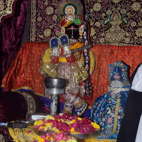 Khichadi Festival Shri Radhavallabh Lal Darshan