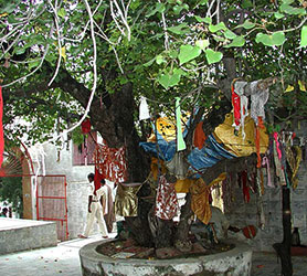 Mahavan temple of Nandgaon