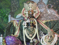 Sharavan Special Radhavallabh Darshan