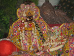 Raksha Bandhan Darshan of Radhavallabh Lal